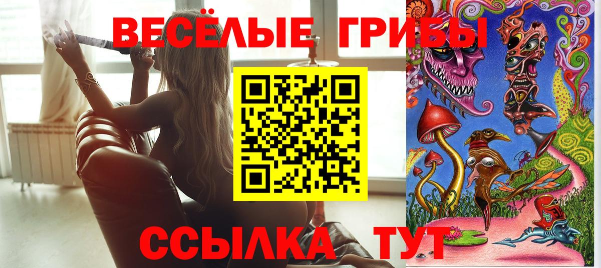 Зеленокумск  Галлюциногенные грибы Psilocybine cubensis  Вход с VPN  где можно купить наркотик  Псилоцибиновые грибы Psilocybe 